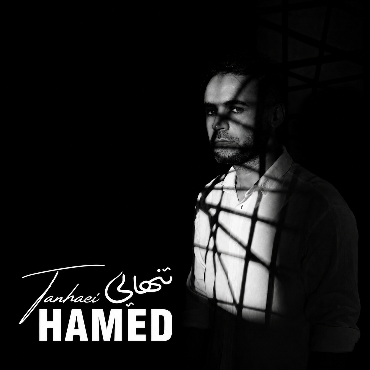 تنهایی (Tanhaei) - حامد (Hamed)