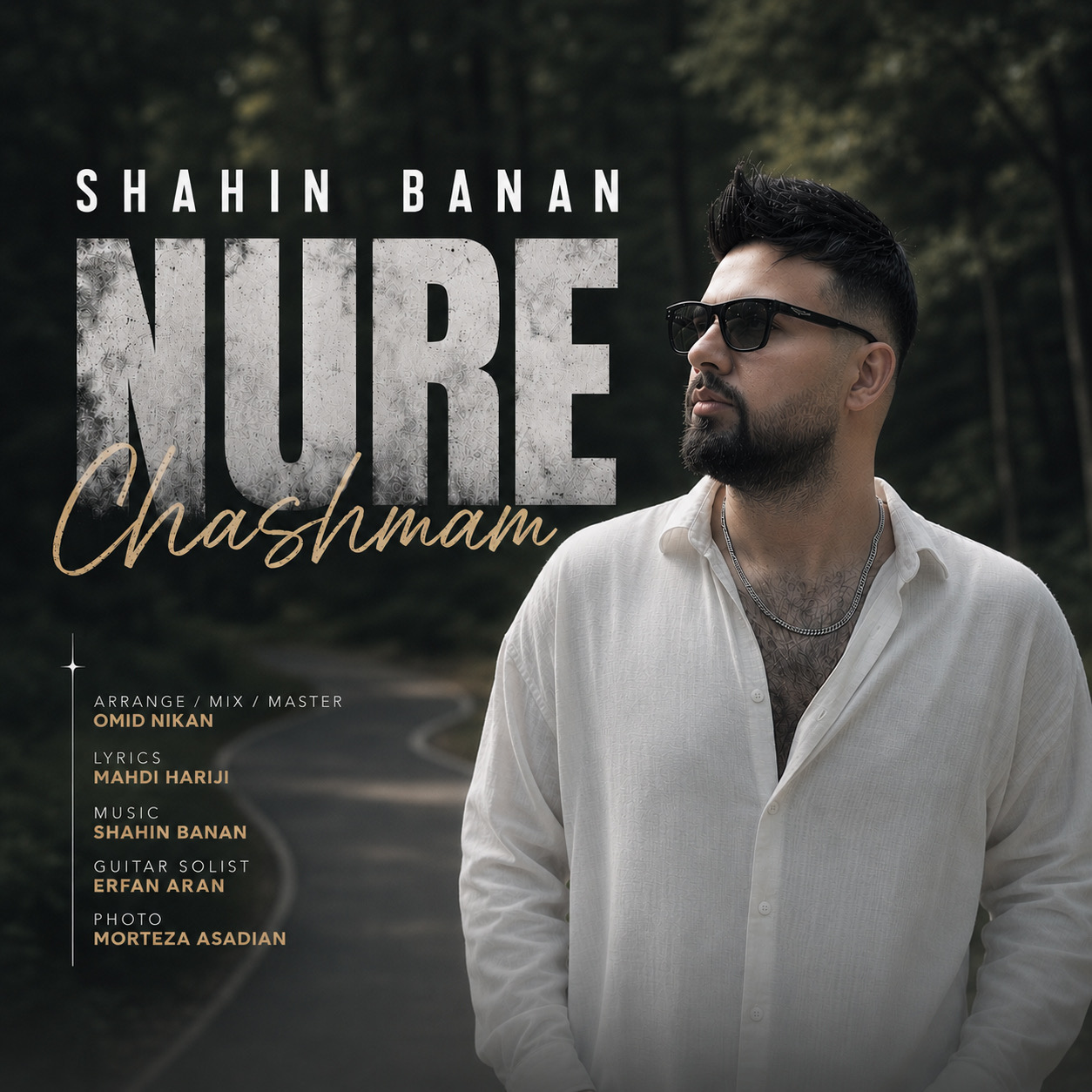 نور چشمام (Nure Cheshmam) - شاهین بنان (Shahin Banan)
