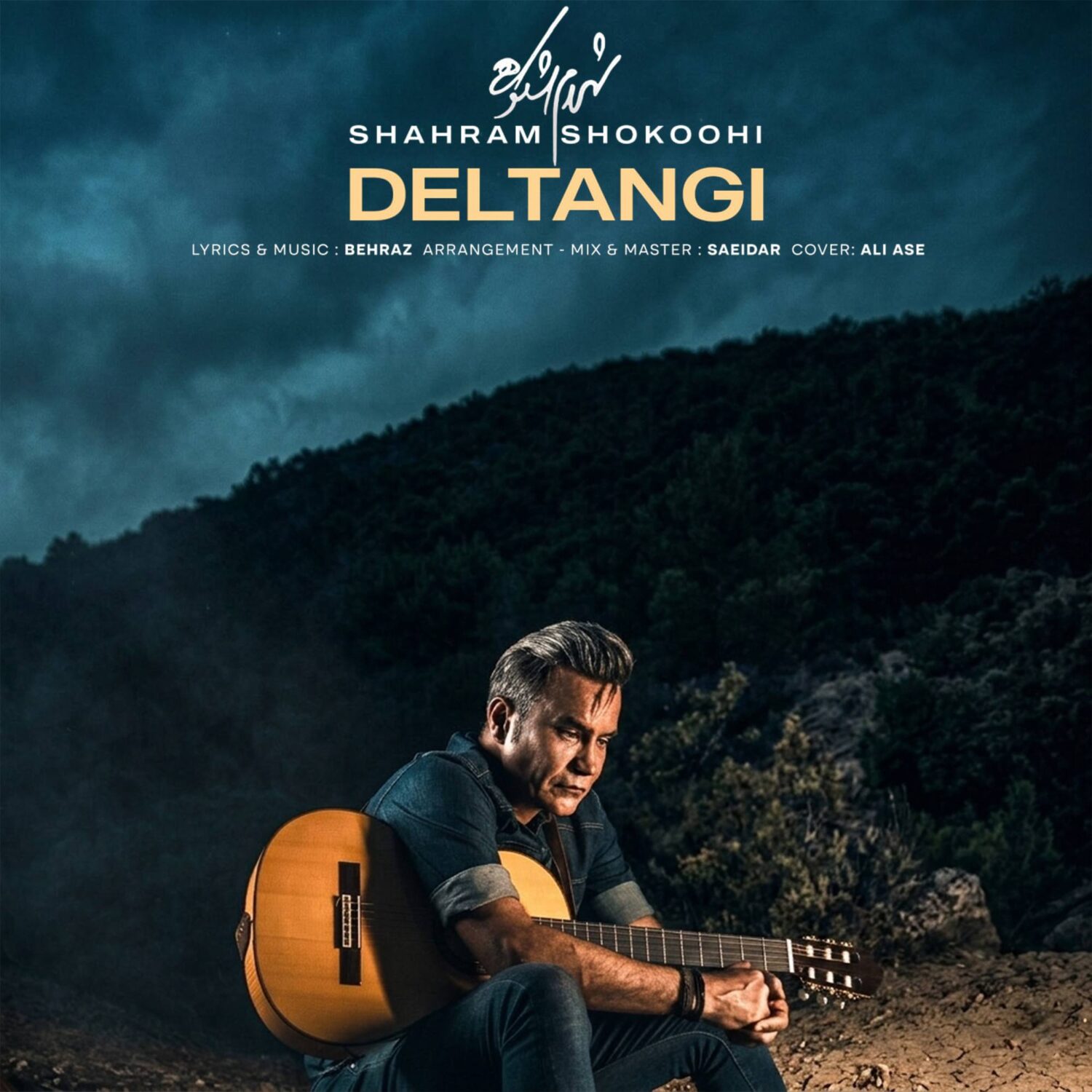 دلتنگی (Deltangi) - شهرام شکوهی (Shahram Shokoohi)