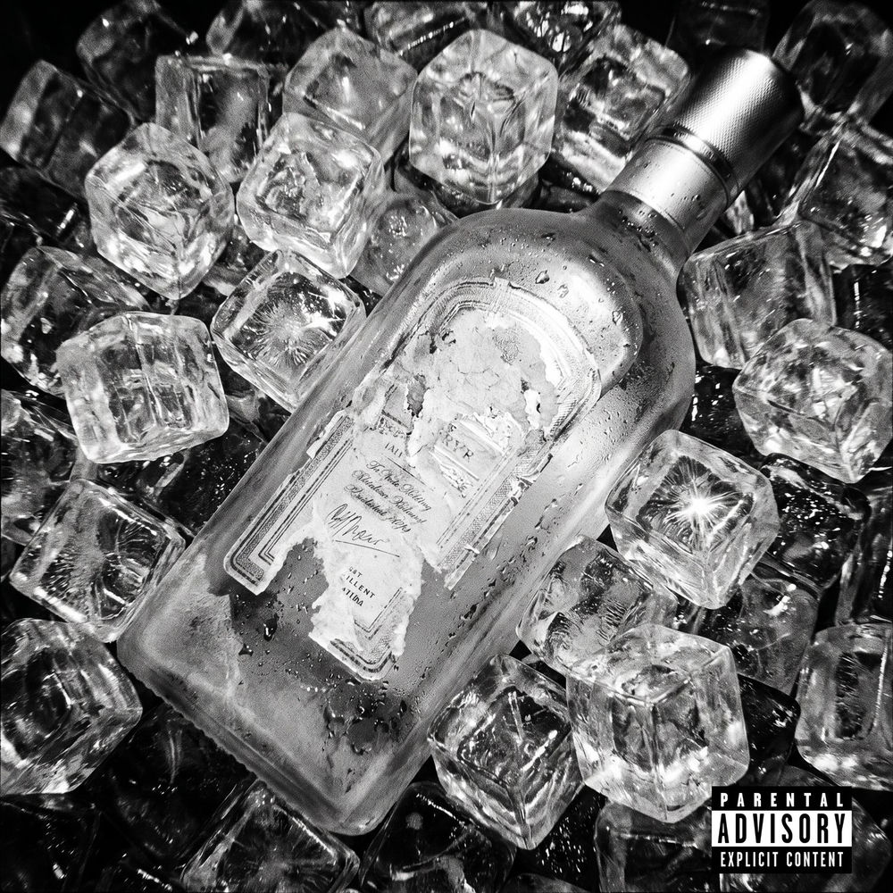 جین (Gin) - ویناک (Vinak)