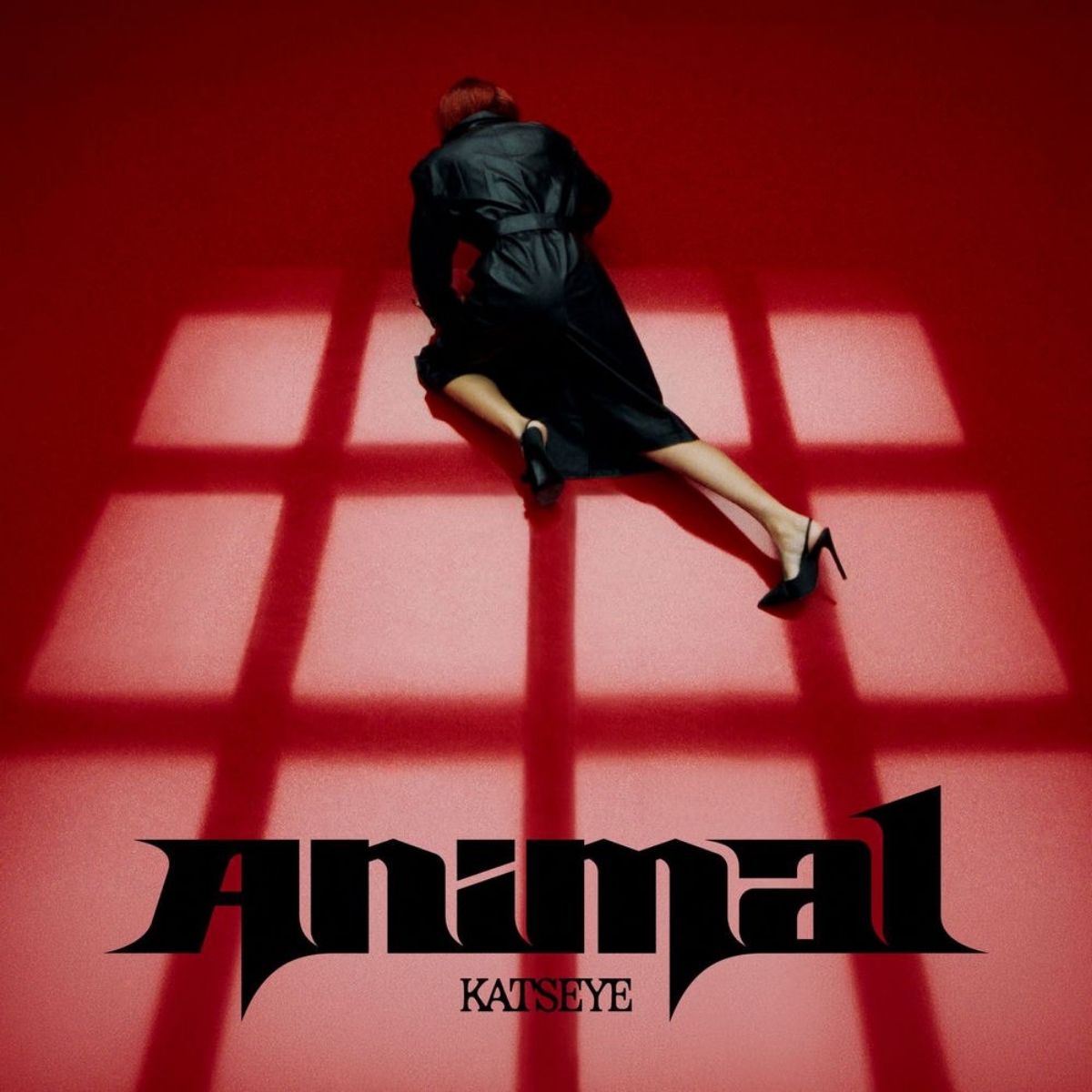 انیمال (Animal) - کتس آی (Kataeye)