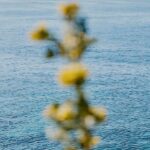 وان آو یور ایلوژنز