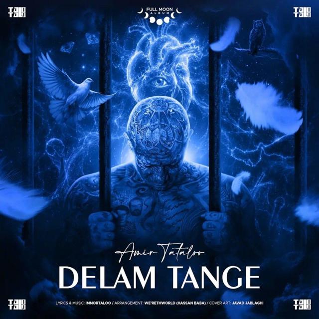 دلم تنگه (Delam Tange) - امیر تتلو (Amir Tataloo)