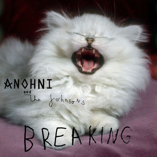 بریکینگ (Breaking) - آنوهنی و آنتونی و دِ جوهنسونس (ANOHNI & Antony & The Johnsons)