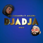 دجادجا (ریمیکس)