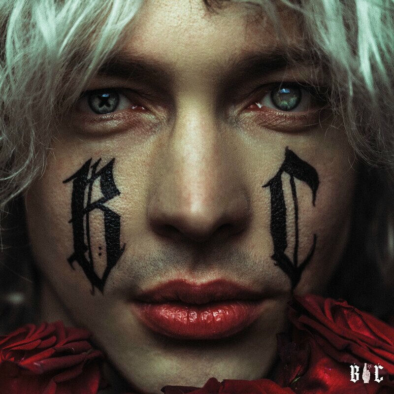 National Treasure - Barns Courtney
