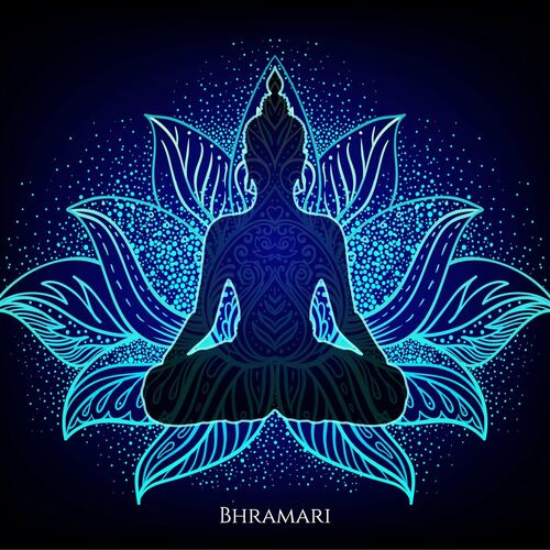مای لوتس (My Lotus) - برهمری (Bhramari)