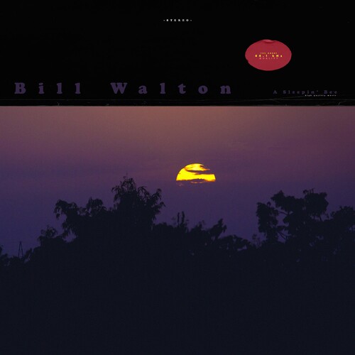 A Sleepin' Bee - Bill Walton