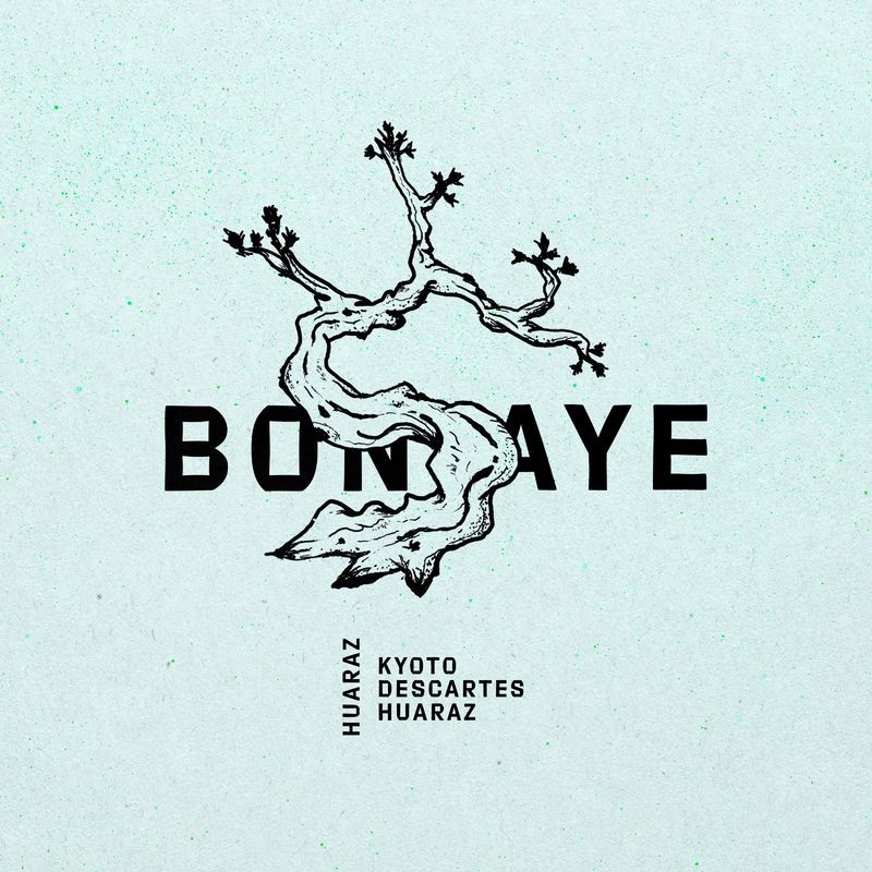دکارت (Descartes) - بونسای (Bonsaye)