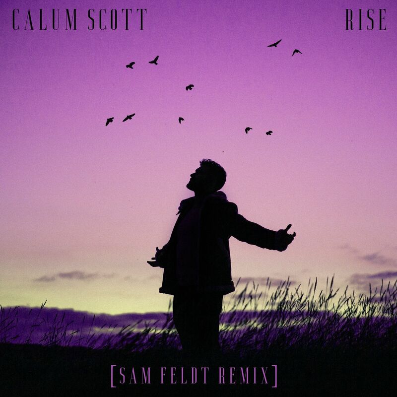 رایز (سم فلدت ریمیکس) (Rise (Sam Feldt Remix)) - کالم اسکات و سم فلدت (Calum Scott & Sam Feldt)