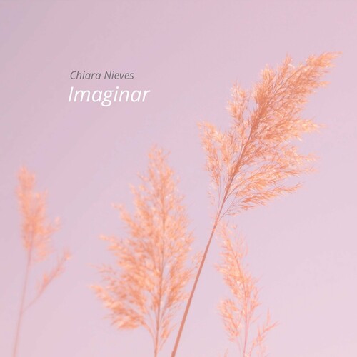 Imaginar - Chiara Nieves