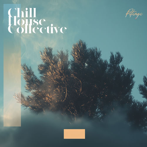 پیتانگا (Pitanga) - چیل هوس کلکتو (Chill House Collective)