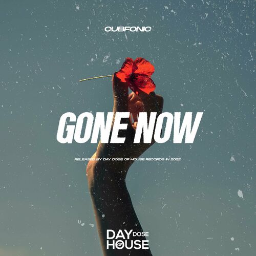 گان ناو (Gone Now) - کیوبفونیک و فرانکو کیز و بیس موشنز (Cubfonic & Franko Keys & Bass Motions)