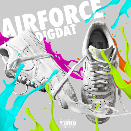 ایر فورس (AirForce) - دیگ دت (DigDat)