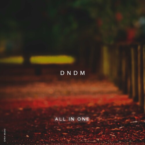 آل اِن وان (All In One) - دی ان دی ام (DNDM)