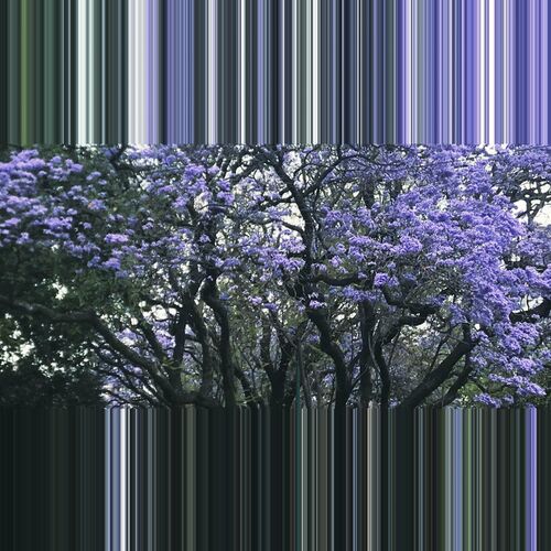 اسپرینگ سیهستا (Spring Siesta) - فرناندا اولیباری و آمالینالی پیچاردو و دیوید رالیکه (Fernanda Ulibarri & Amalinalli Pichardo & David Ralicke)