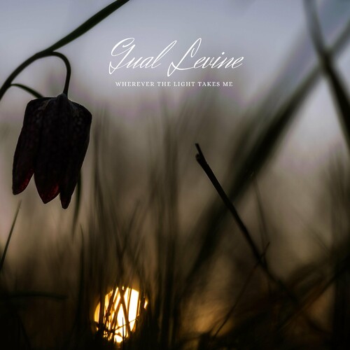 ورور ت لایت تاکس م (Wherever The Light Takes Me) - گوال لوین (Gual Levine)