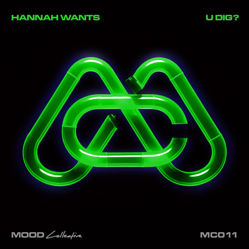 یو دیگ (U Dig?) - هانا وانتس (Hannah Wants)
