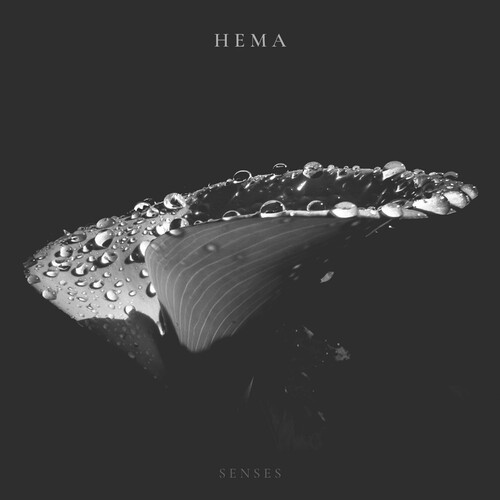 ویتین (Within) - هما (HEMA)