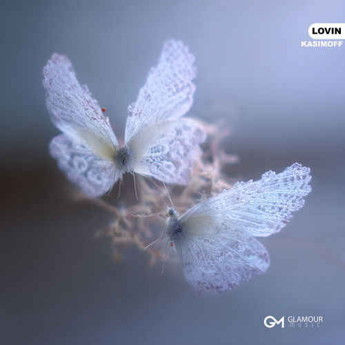 لووین (Lovin) - کاسیموفف (KASIMOFF)