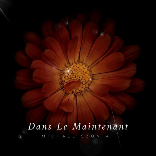دانس ل ماینتنانت (Dans Le Maintenant) - میچال سزونجا (Michael Szonja)