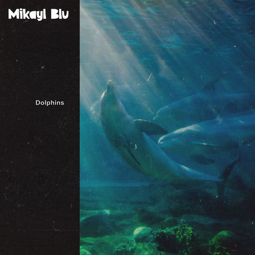 دولفینس (Dolphins) - میکایل بلو (Mikayl Blu)