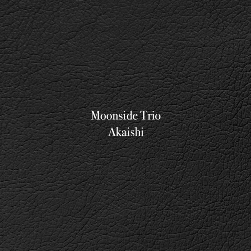 Was It Me? - Moonside Trio