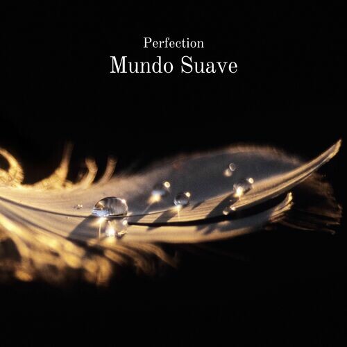 پرفکشن (Perfection) - موندو سواو (Mundo Suave)