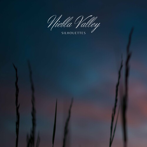 Niebla Valley