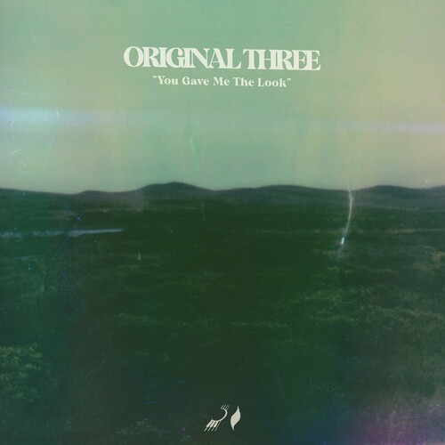 You Gave Me The Look - Original Three