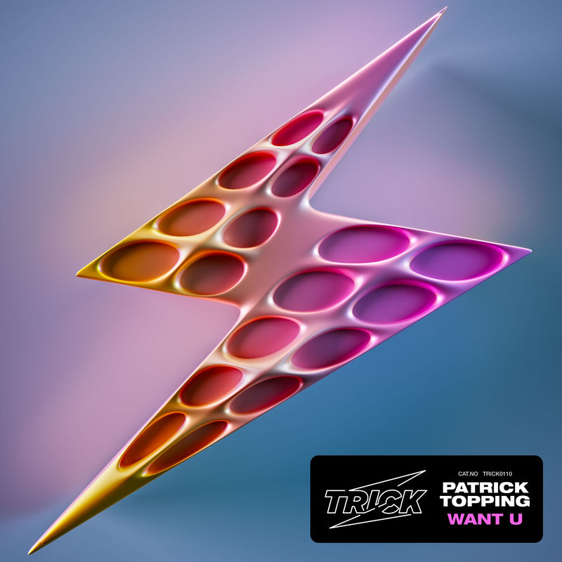 وانت یو (Want U) - پاتریک تاپینگ (Patrick Topping)