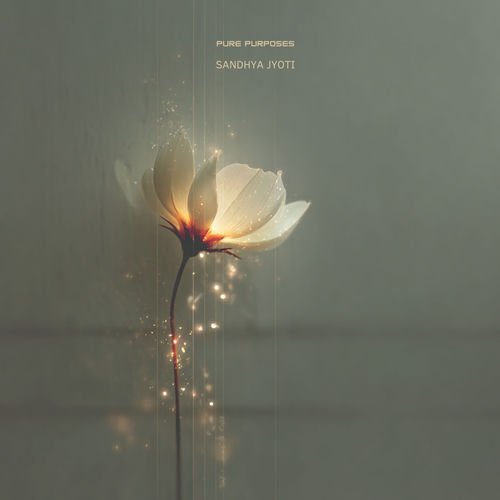 Sandhya Jyoti - Pure Purposes