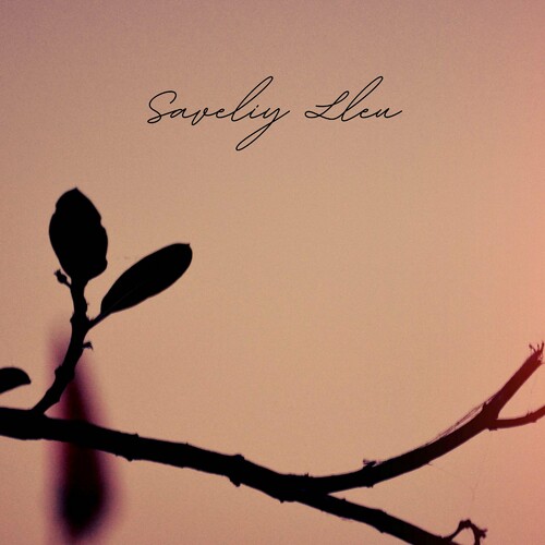 Peace Of Mind - Saveliy Lleu