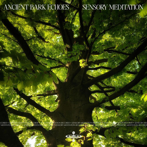 انشنت بارک اکوز فیت جسپر ویسپر اند فلیم تیمو (Ancient Bark Echoes (feat. Jasper Whisper & Flame Timo)) - سنسوری مدیتاشن و جاسپر ویسپر و فلام تیمو (Sensory Meditation & Jasper Whisper & Flame Timo)