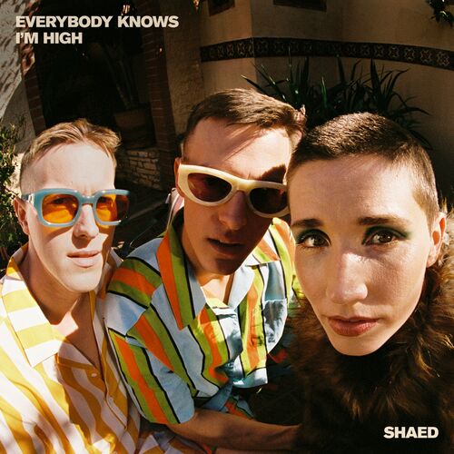 وریبودی کناوس ی م های (Everybody Knows I'm High) - شید (SHAED)