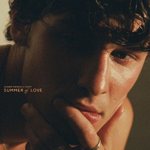 سامر اوو لاو (Summer Of Love) - شاون مندز و تینی (Shawn Mendes & Tainy)
