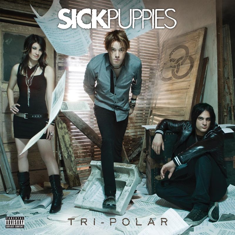 یور گوئینگ داون (You're Going Down) - سیک پاپیز (Sick Puppies)