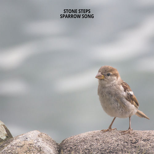 اسپرو سانگ (Sparrow Song) - ستون ستپس (Stone Steps)