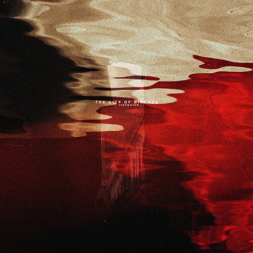 Tidewater - The City of Birches