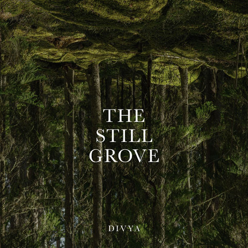Divya - The Still Grove