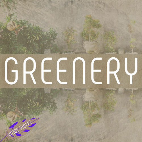 گرینری (Greenery) - وینک ویولت (Vince Violet)