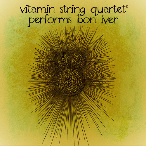 هولوسین (Holocene) - ویتامین استرینگ کوارتت (Vitamin String Quartet)