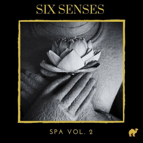 سانست (اکستندد یوگا ادیت) (Sunset (Extended Yoga Edit)) - یانگ جینگ و بو دگاس (Young Jing & Bo Degas)