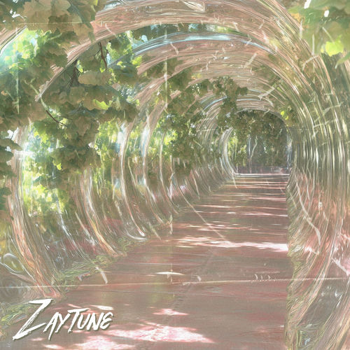 آندر د کنپی (Under the Canopy) - زایتون (Zaytune)
