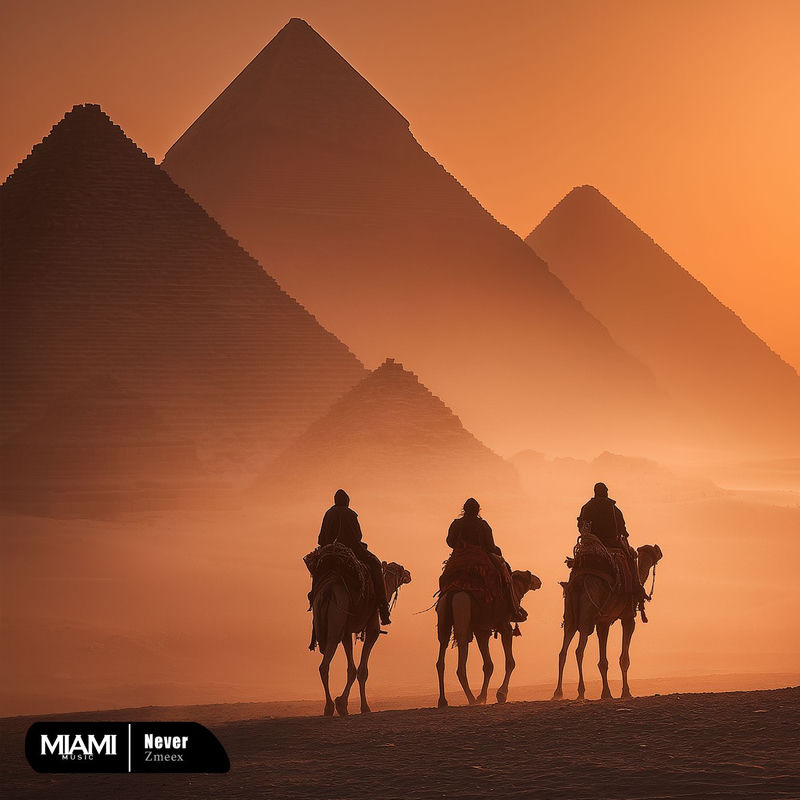 نِوِر (Never) - زمیکس (Zmeex)