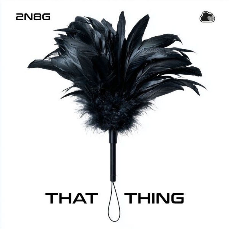 دت تینگ (That Thing) - تو ان ای جی (2N8G)