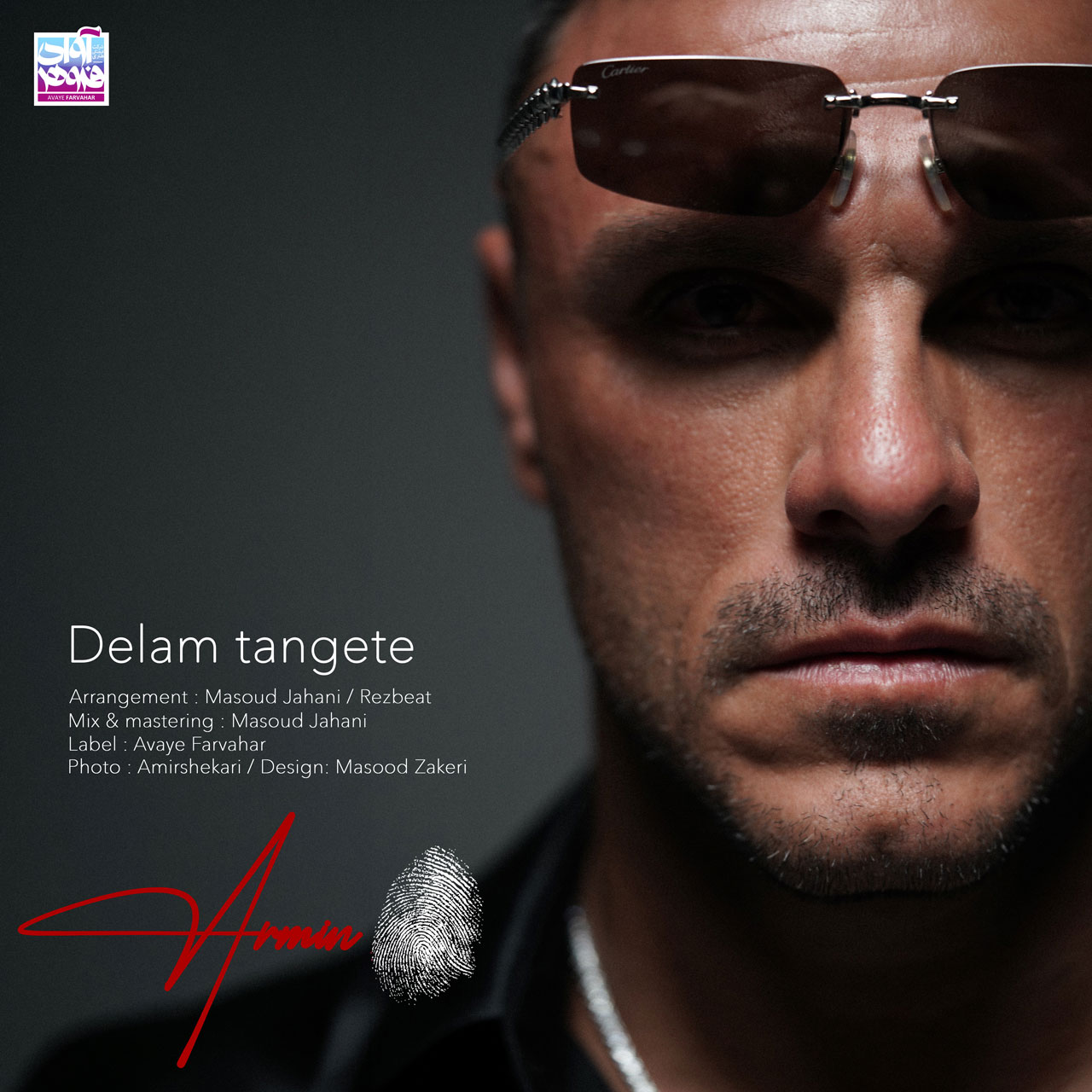 دلم تنگته (Delam Tangete) - آرمین زارعی (Armin Zarei)