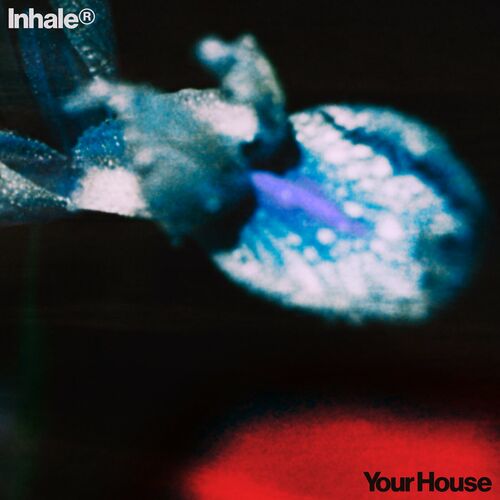 یور هاوس (Your House) - اینهیلر (Inhaler)