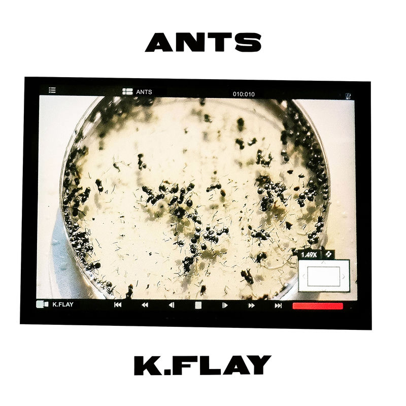 آنتس (Ants) - کی فلای (K.Flay)