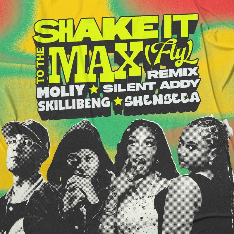 SHAKE IT TO THE MAX (FLY) [REMIX] - Moliy & Shenseea & Skillibeng & Silent Addy